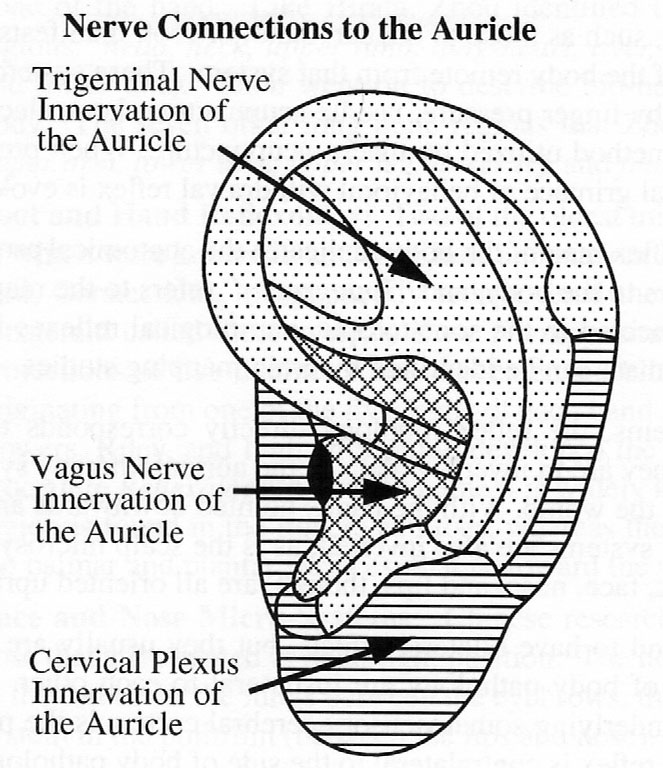 オリキュロエリアの画像